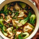 Potsticker Soup Recipe