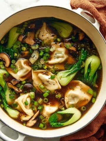 Potsticker Soup Recipe