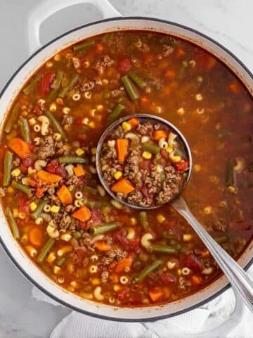 Busy Day Vegetable Soup with Ground Beef and Noodles Recipe