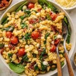 Sun-Dried Tomato Pasta Salad Recipe