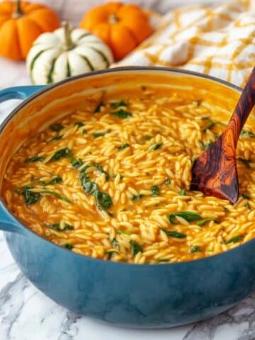 Creamy Vegan Pumpkin Orzo Recipe