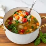 Mediterranean Orzo Soup Recipe