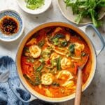 Red Curry Dumpling Soup Recipe