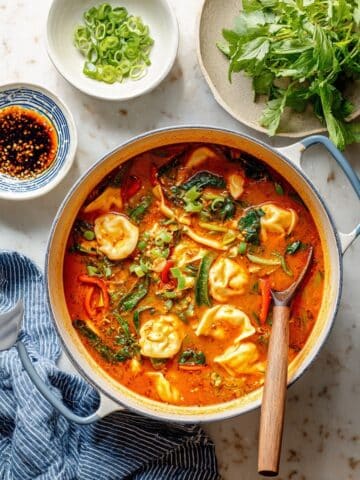 Red Curry Dumpling Soup Recipe