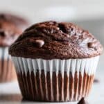 Chocolate Sourdough Muffins Recipe