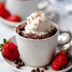 Vegan Mug Brownie Recipe