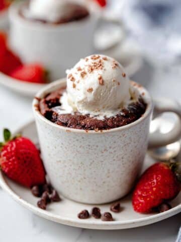Vegan Mug Brownie Recipe
