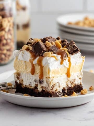 Turtle Lasagna Dessert Recipe
