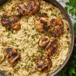 Creamy Chicken and Orzo Skillet Recipe
