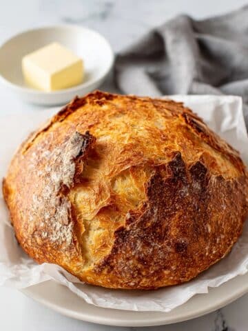 2 Ingredient No Knead Yogurt Bread Recipe