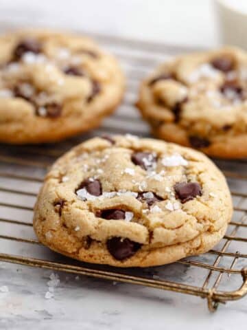 Chewy Chocolate Chip Cookies Recipe