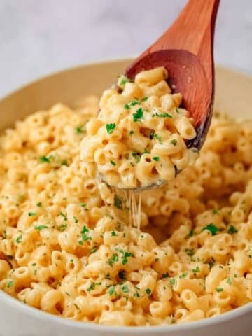 That Viral Creamy Garlic Butter Ditalini Pasta Recipe