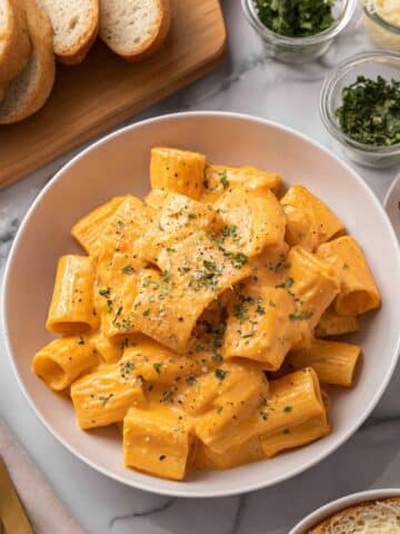 Creamy Tomato Rigatoni Pasta Recipe