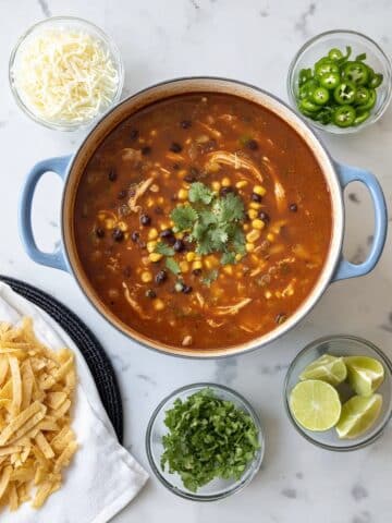 Spicy Chicken Tortilla Soup with Avocado and Crispy Tortilla Strips Recipe