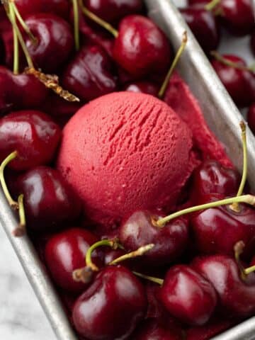 Fresh Cherry Sorbet Recipe