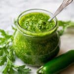 Zhoug (aka Zhug, Shug or Skhug) Recipe