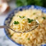 How to Cook Orzo in a Rice Cooker Recipe