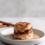 Snickerdoodle Mug Cake Recipe