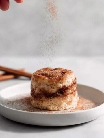 Snickerdoodle Mug Cake Recipe